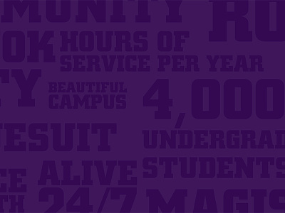 The University of Scranton Cover Photo collage fun purple scranton words