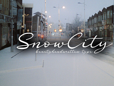 Snow City 1