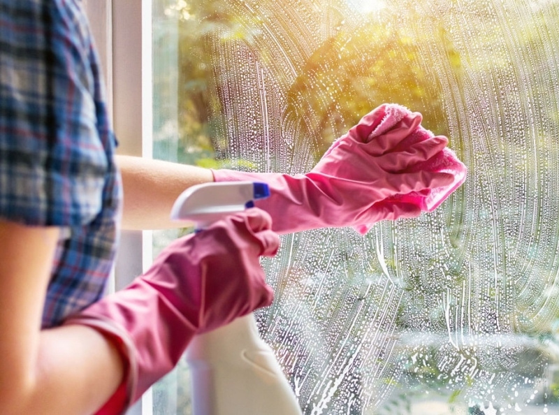 Why Do You Need to Hire Window Cleaners in Kingston? by Anton Genov on Dribbble