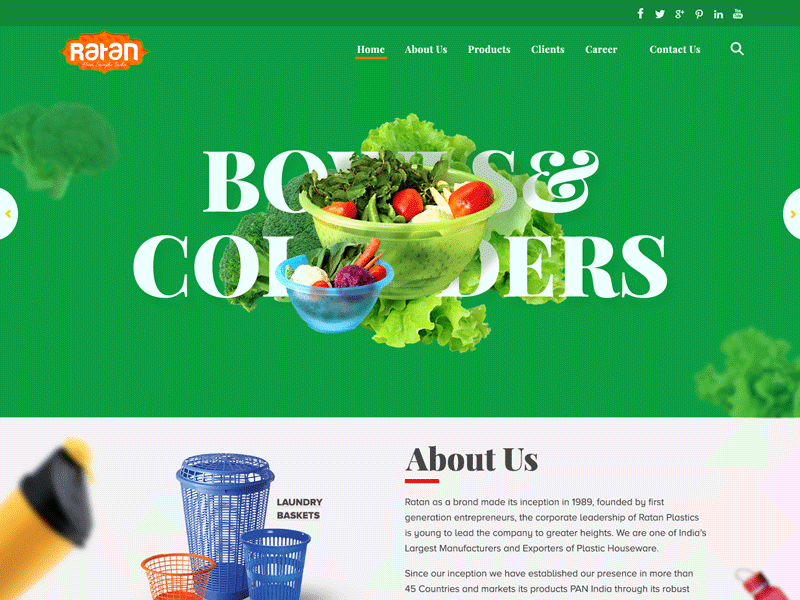Website Idea - Ratan Plastics design ui website