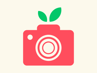 Fresh shot camera flat fresh fruit icon logo mark shot symbol