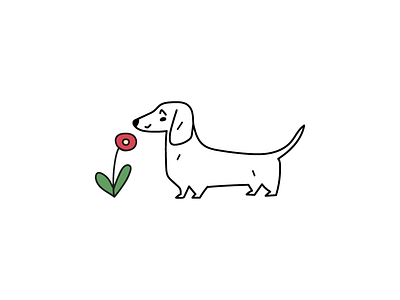 dachshund and flower animal design dog flat flower icon illustration logo logotype mark symbol