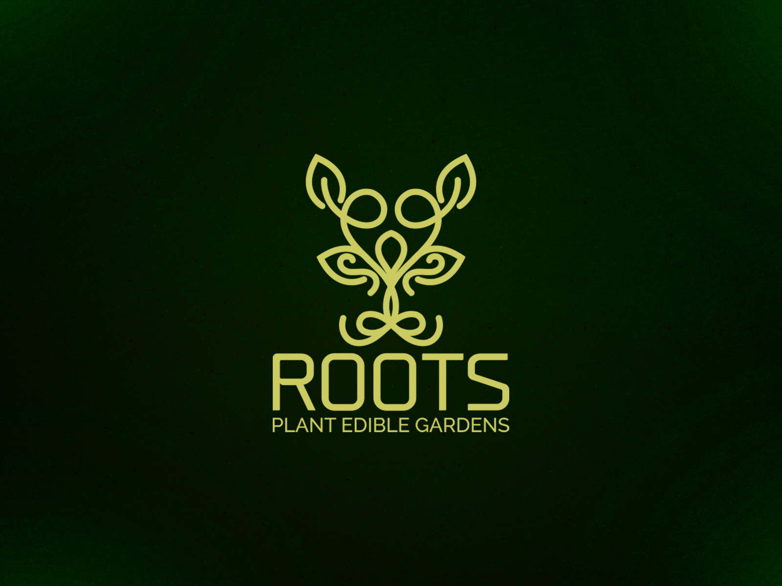 Roots Logo Design Roots Logo Logo by Imam Hasan on Dribbble