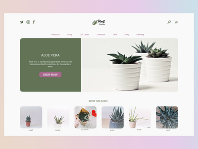 Plant shop aloe aloe vera design figma flat green minimal nonprofit plant plants ui web webdesign website website design