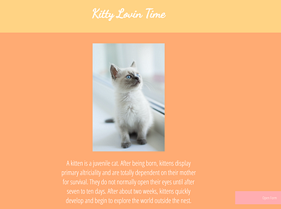 Kitty Webpage color palette design development fullstack styleguide ui ux