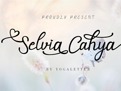 Selvia Cahya banner beautiful branding calligraphy font font design handwritten logo poster script