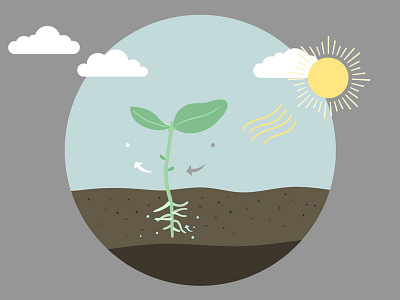 Photosynthesis dirt garden growing illustration photosynthesis planting science seedling sky sprout sun weather