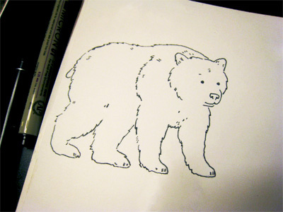 Bear Sketch