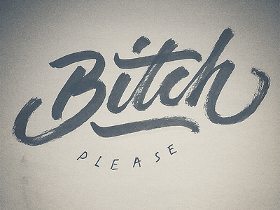 Bitch Please bitch brush calligraphy lettering personal please project type typography