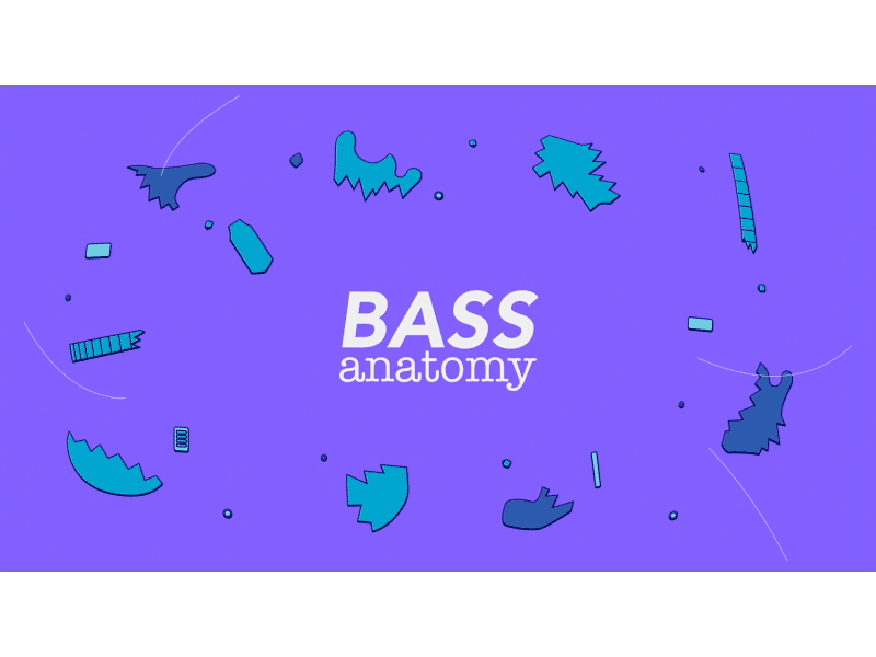 Bass Anatomy 2d after effects animation bass explosion mograph motion design