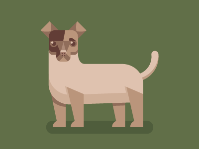 Jack Russell WIP canine clean dog flat illustration jack russell mutt pooch puppy terrier vector