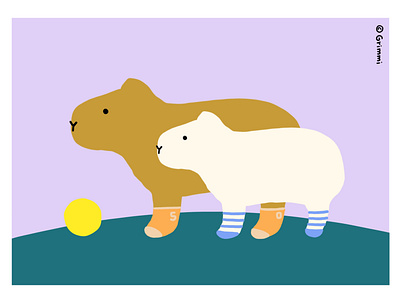 Capybaras in cute socks cute design drawing graphic design illustration procreate