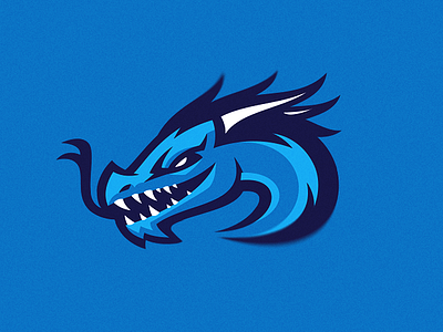 NORDAVINDEN 1 concept redesign brand branding dragon identity logo logotype mascot putylo sport sports team