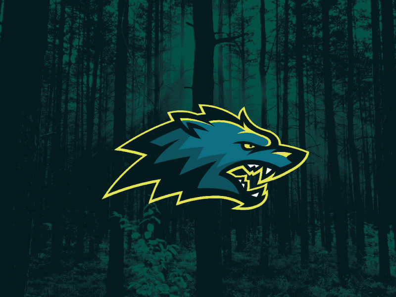 wolf by Mateusz Putylo on Dribbble