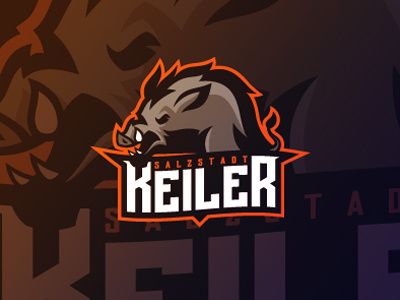 Boar keiler logo putylo rebrand sport team