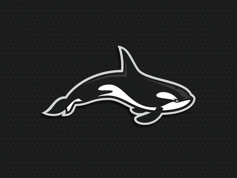 Orca clean orca illustration esport animal putylo logotype branding identity mascot sport logo