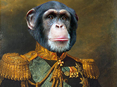 Colonel Chimp abstract photoshop