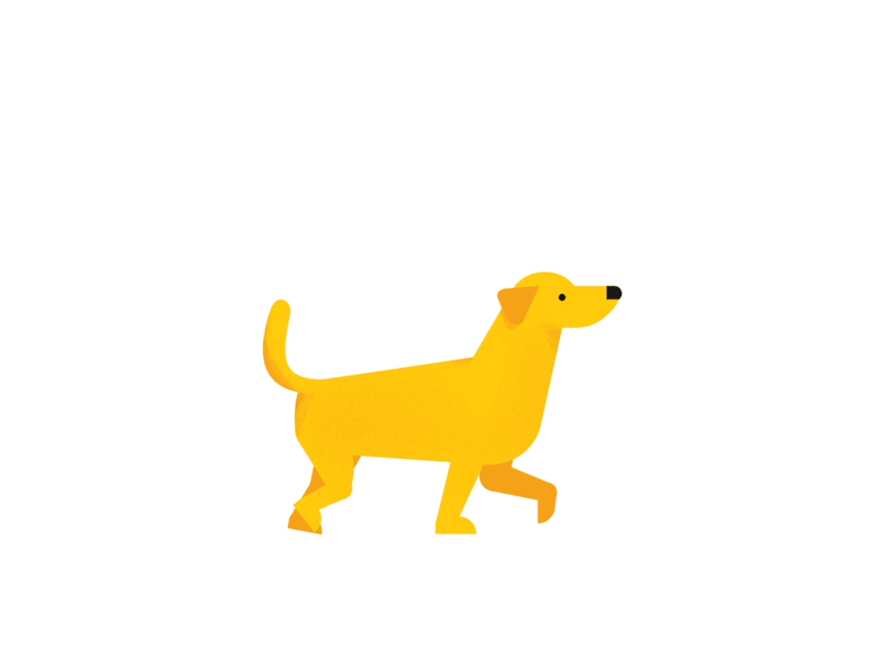 is Dog 2d ae animation character cycle dog run smiletrain walk