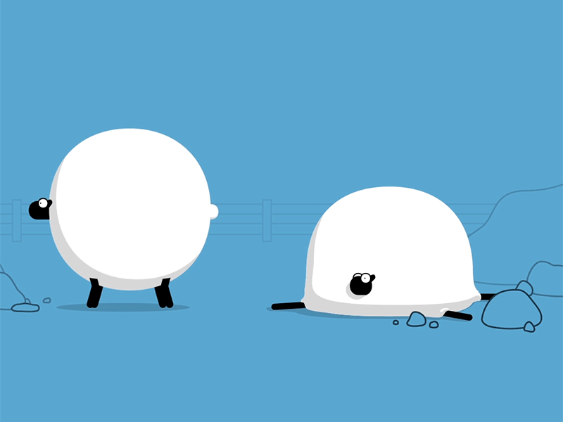 Iceland Sheep 2d animation bounce character iceland sheep