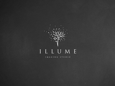 ILLUME - Imaging Studio