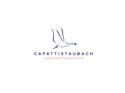 CAPATTISTAUBACH branding design illustration logo minimal