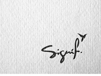 SIGNIF branding design illustration logo minimal typography