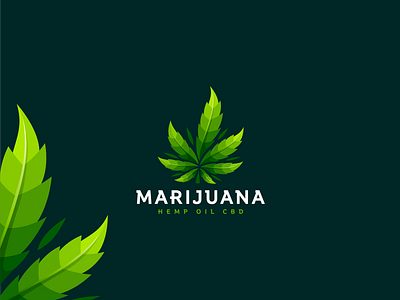 Marijuana animation app branding cannabis graphic design hemp hempoil illustration logo marijuana ui website weed