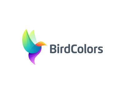 Bird Colors app bird colors bird cool bird design bird logo branding design icon illustration logo typography vector