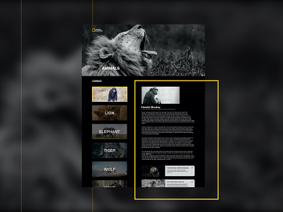 National Geographic Animal Categories Page Ui Concept animal classic design glassmorphism minimal national geographic netflix typography ui uiux ux web website