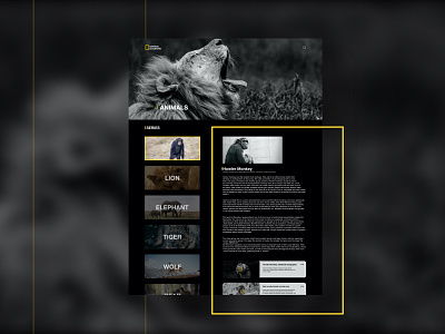 National Geographic Animal Categories Page Ui Concept