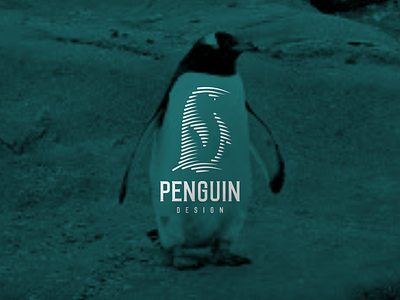 Penguin line art design graphic design illustration logo penguin design penguin line art typography