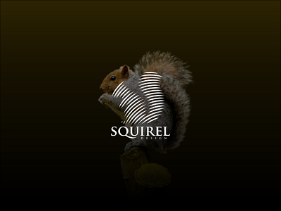 Squirel design line art squirel squirel design squirel line art squirel logo squirel tatoo