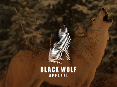 BLACK WOLF branding design flat graphic design icon illustration logo typography ui vector