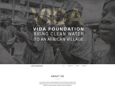 Website Foundation VIDA - ONG