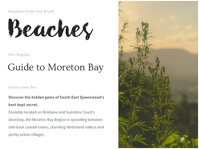 Moreton Bay moreton bay