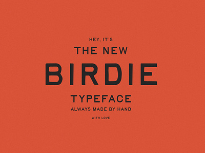 Birdie | Vintage Print Font display font display type font design fonts hand lettered font handtype logo fonts vintage font