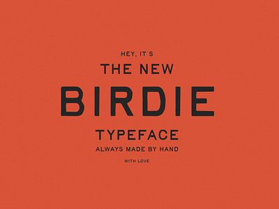 Birdie | Vintage Print Font