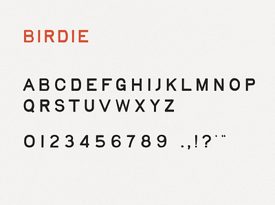 Birdie Typeface display font font design handmade handmade font handtype simple type type design typography vintage