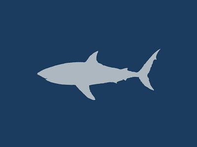 Great White Shark coastal graphic design great white icon nautical sea creature shark shawn scott vector