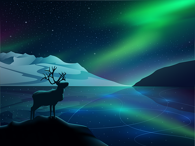 Northern lights - Norway deer illustration lake mountain nature night northenlights norway stars vector winter