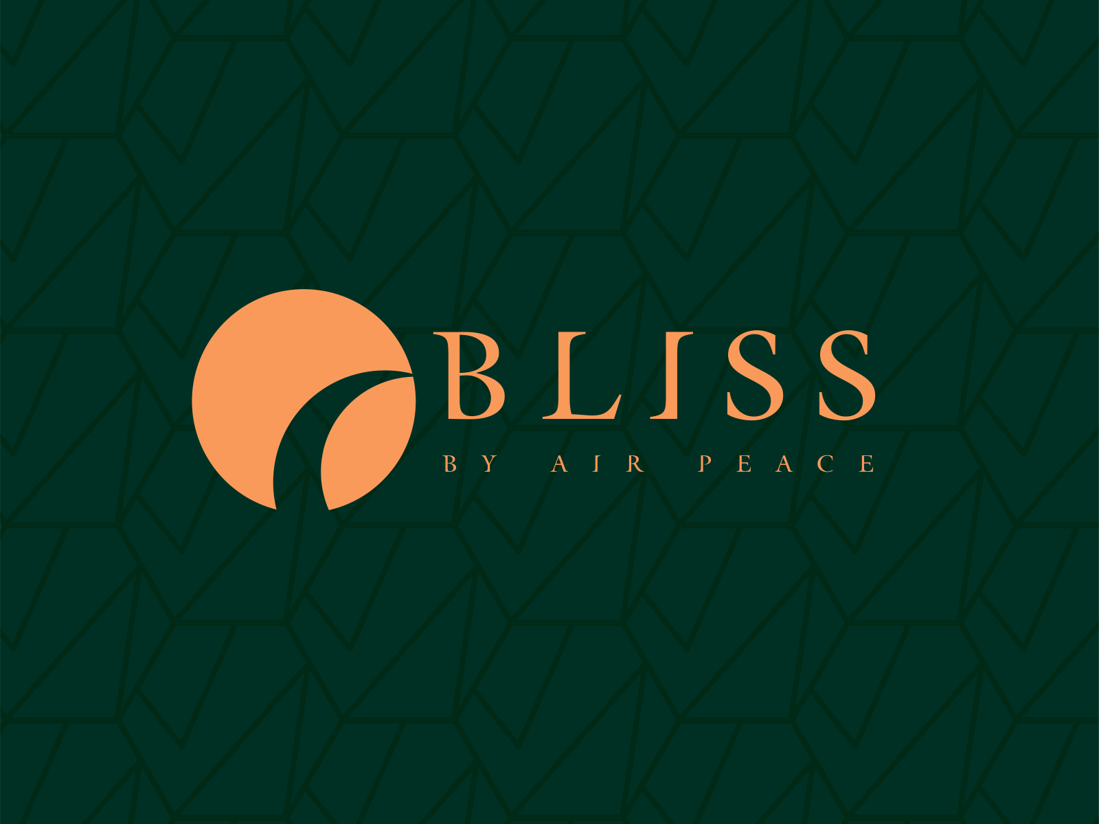 Bliss Logo 02 by Quincy on Dribbble