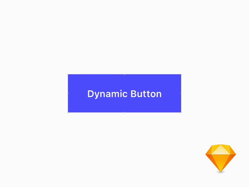 Sketch Dynamic Button (Starter File Included) anima button freebie sketch