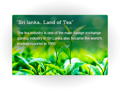 Sri Lanka.. Land of Tea