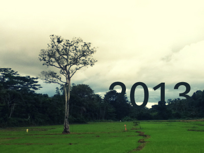 2013 2012 field new photography srilanka tree year