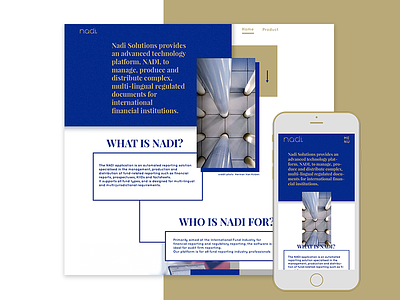 Nadi Solutions website founding gold luxembourg responsive website