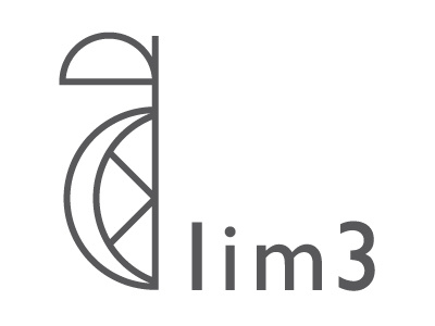 LIM3 Branding Option 2 branding illustration personal