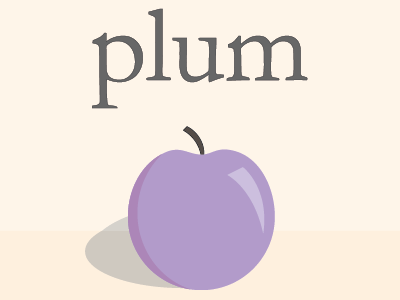 Plum illustration illustrator