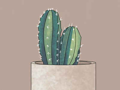 Cactus cactus design illustration plant