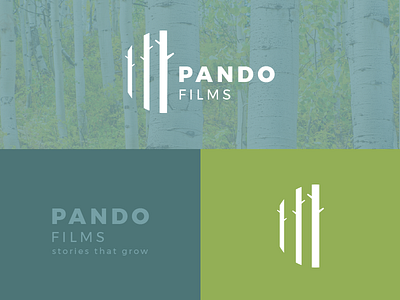Pando Films Logo branding logo
