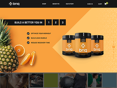 Briq Nutrition branding homepage design ux web